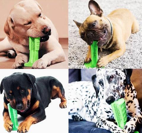 Best Dog Toothbrush for Healthy Teeth - Luxicro