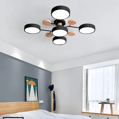 Sleek LED Ceiling Mount Lighting Fixture