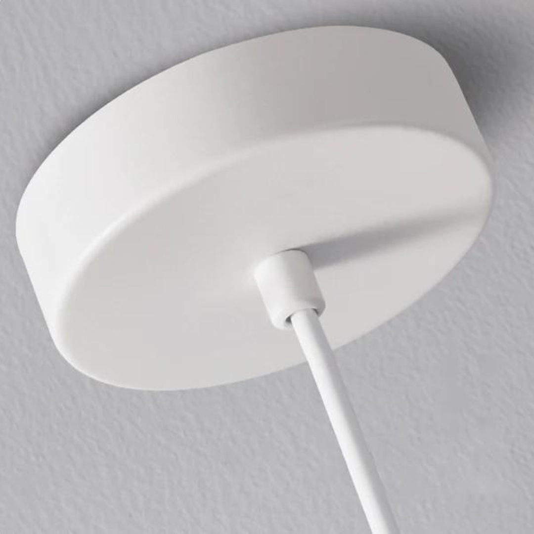 Modern Pendant Light with Flexible Arm