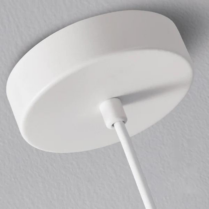 Modern Pendant Light with Flexible Arm