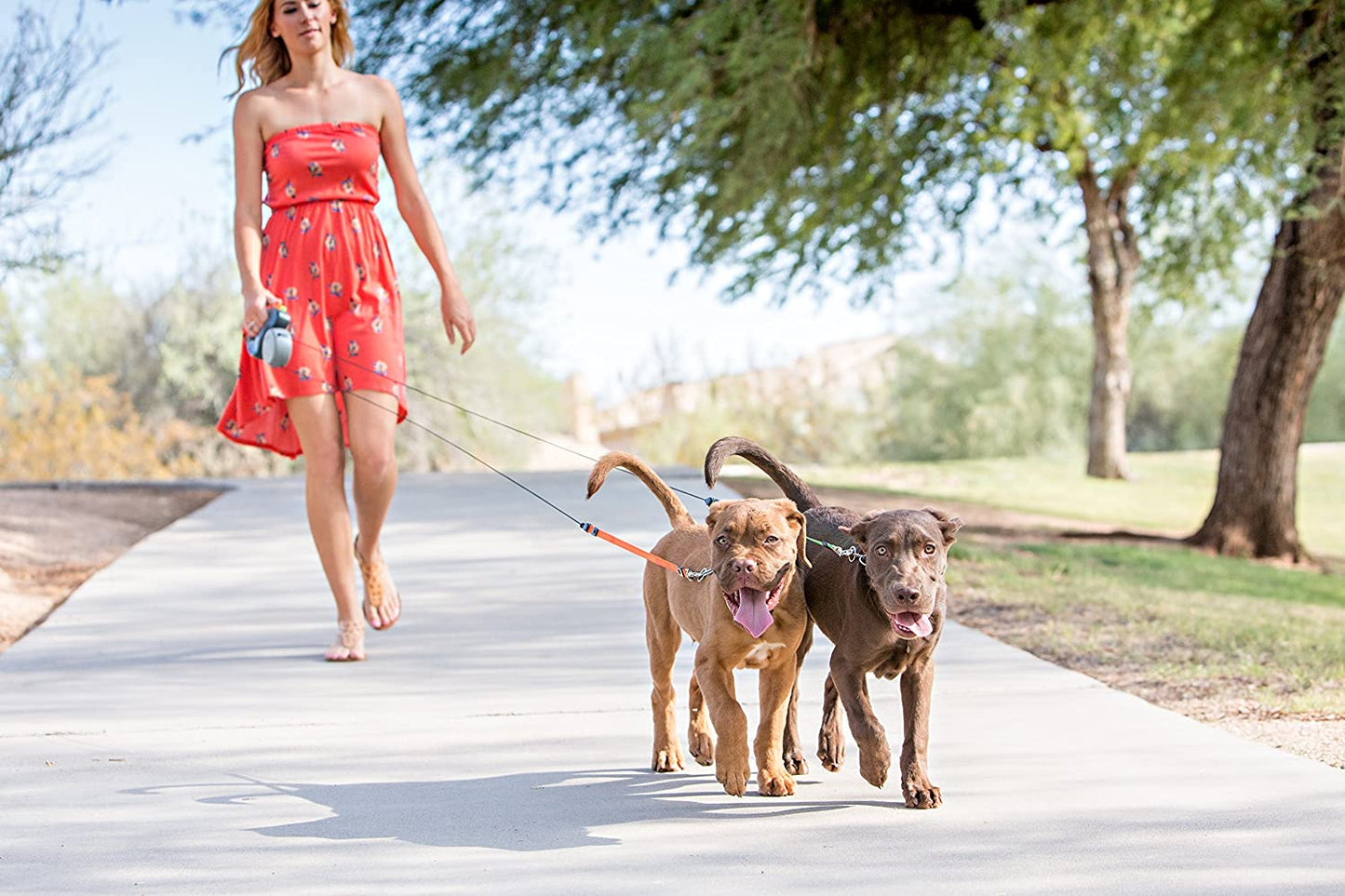 Flexible Dual Dog Leash