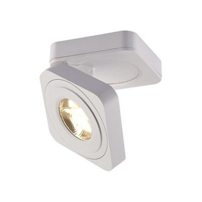 Contemporary Steel Ceiling Spot Lamp