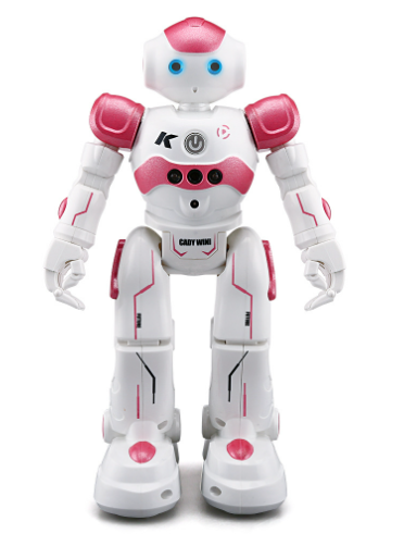 Cool Remote Control Robot Toy