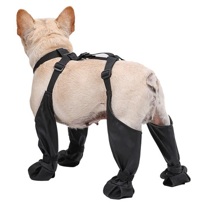 Cozy Dog Paw Shoes