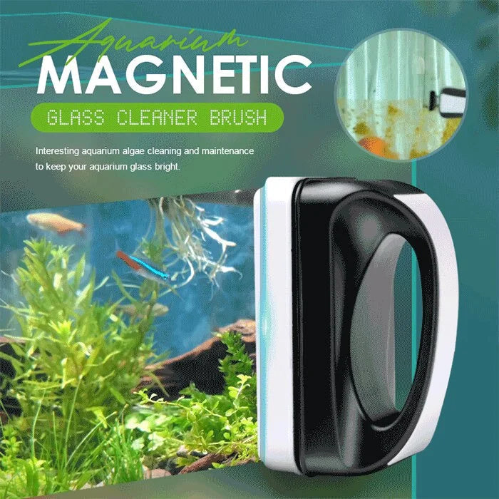 Transparent Freshwater Fish Tank