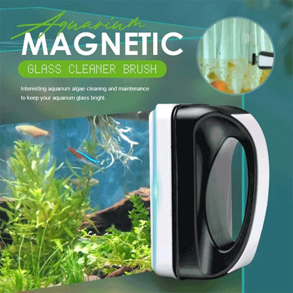 Transparent Freshwater Fish Tank