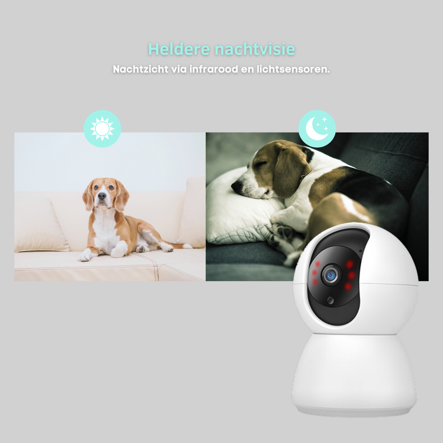 Pet Monitor Smart Pet Camera - Stay Connected