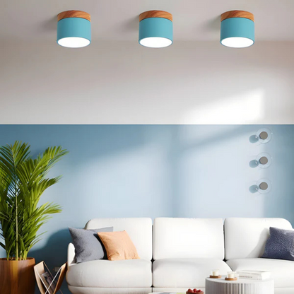 Vintage Look LED Ceiling Lamp