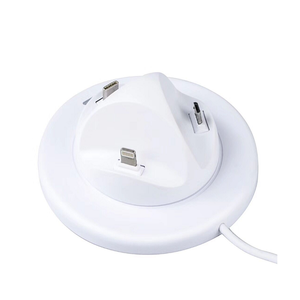 Compact Phone Holder with USB Charging Dock