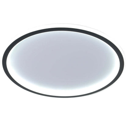 Contemporary Round LED Ceiling Light with Dimmable Brightness
