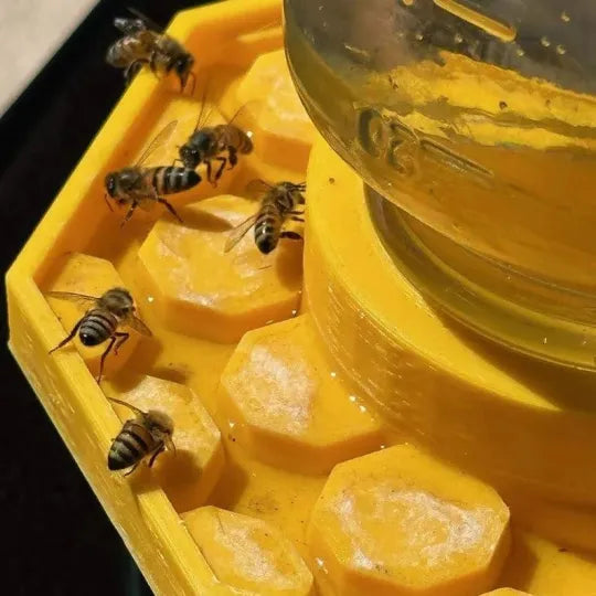 Best Bee House for Garden Wildlife Habitat