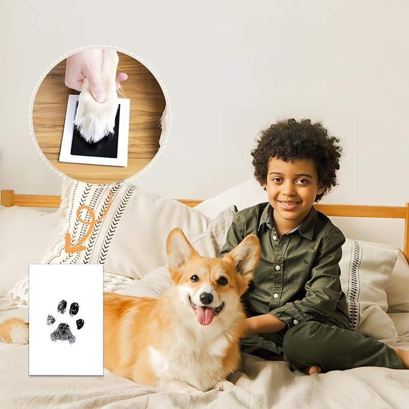 Fun DIY Animal Footprint Craft Kit - Luxicro