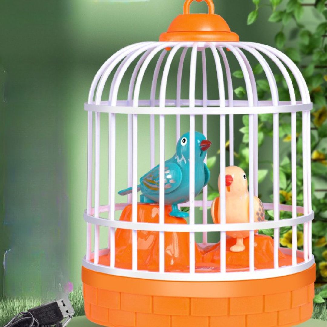 Fun Musical Children's Play Toy Set
