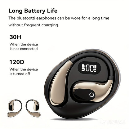 Fast Language Translation Bluetooth Earbuds