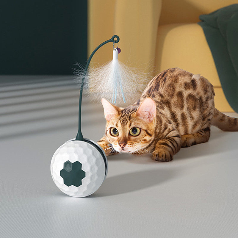Fun Colorful Cat Toy