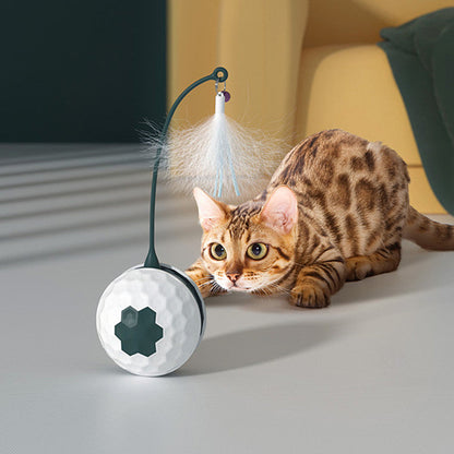 Fun Colorful Cat Toy