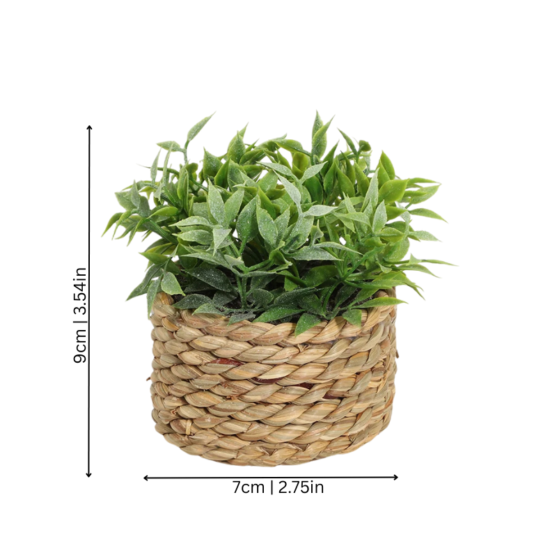 Luxury Green - Luxicro