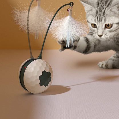 Fun Colorful Cat Toy - Luxicro