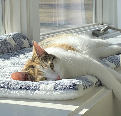 Soft Plush Pet Fleece Blanket Sofa Throw