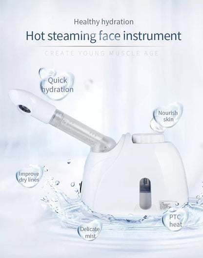 Portable Cool Mist Facial Steamer Humidifier