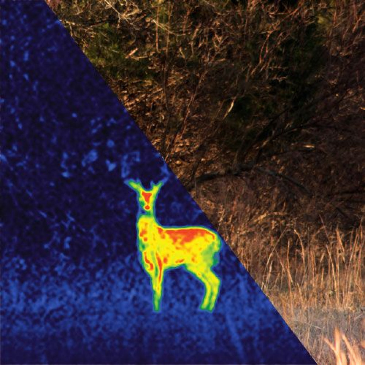 Portable Night Vision Thermal Camera Scope