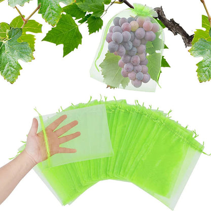 Pest Guard Outdoor Plant Protectors - Luxicro