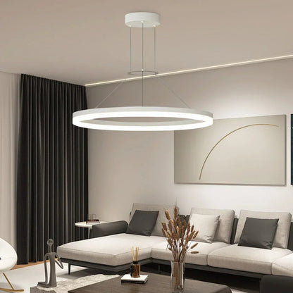 Round LED Hanging Light for Home Ceiling