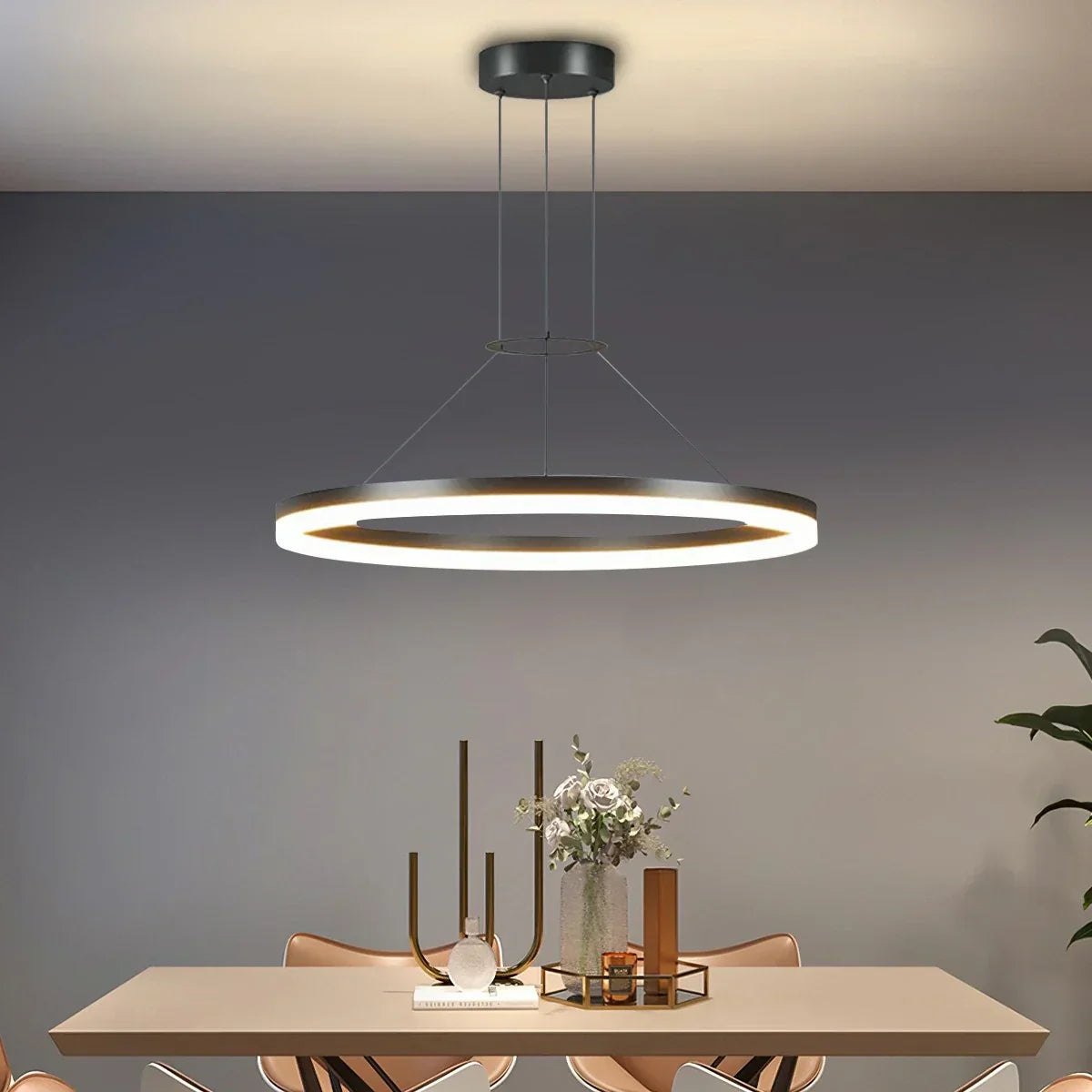 Round LED Hanging Light for Home Ceiling