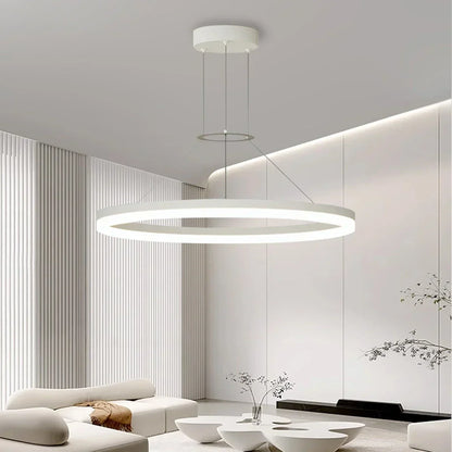 Round LED Hanging Light for Home Ceiling
