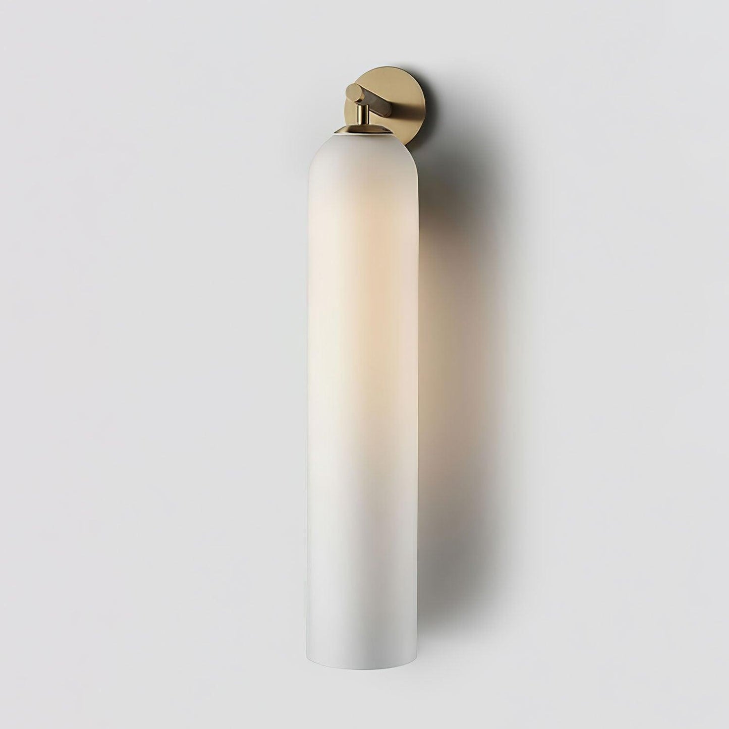 Elegant LED Wall Mount Lamp