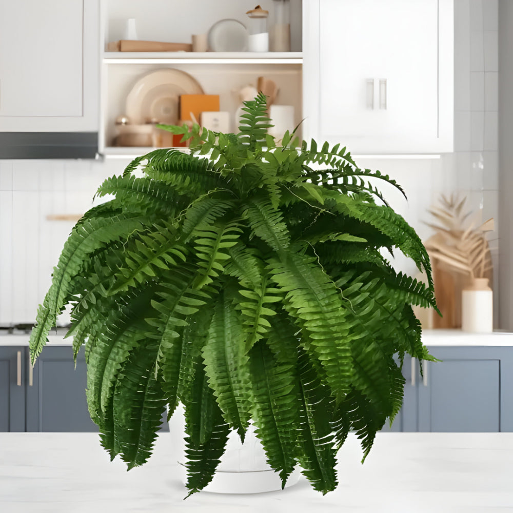 Realistic Indoor Green Fern Decor Plant