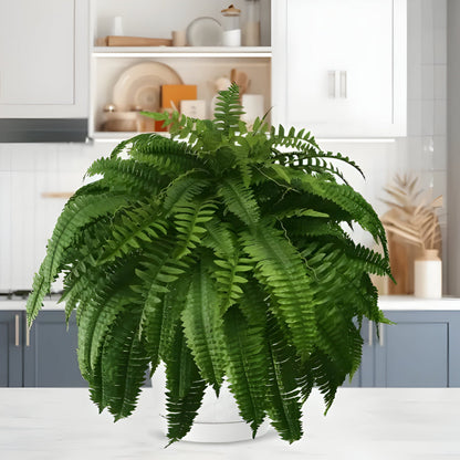 Realistic Indoor Green Fern Decor Plant