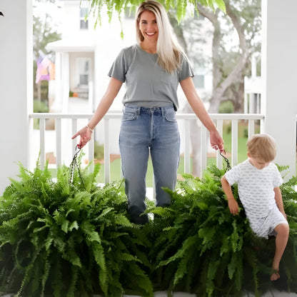 Realistic Indoor Green Fern Decor Plant