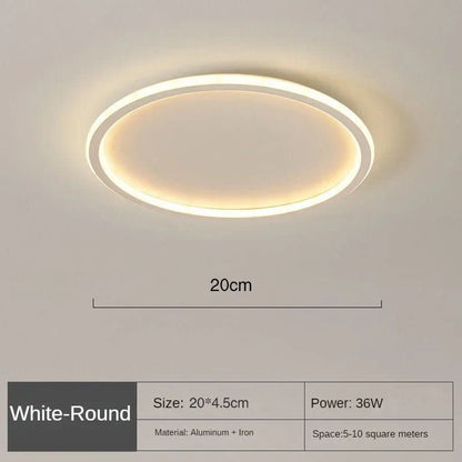 Contemporary LED Ceiling Light for Warm Ambiance