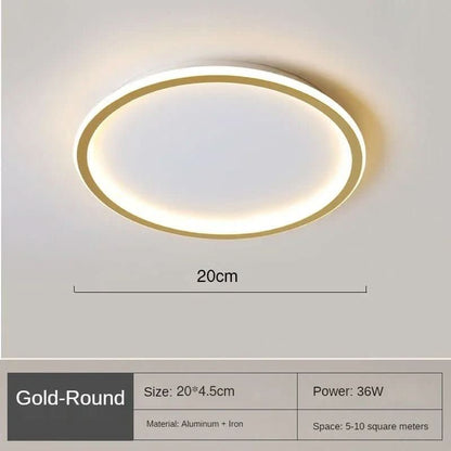 Contemporary LED Ceiling Light for Warm Ambiance