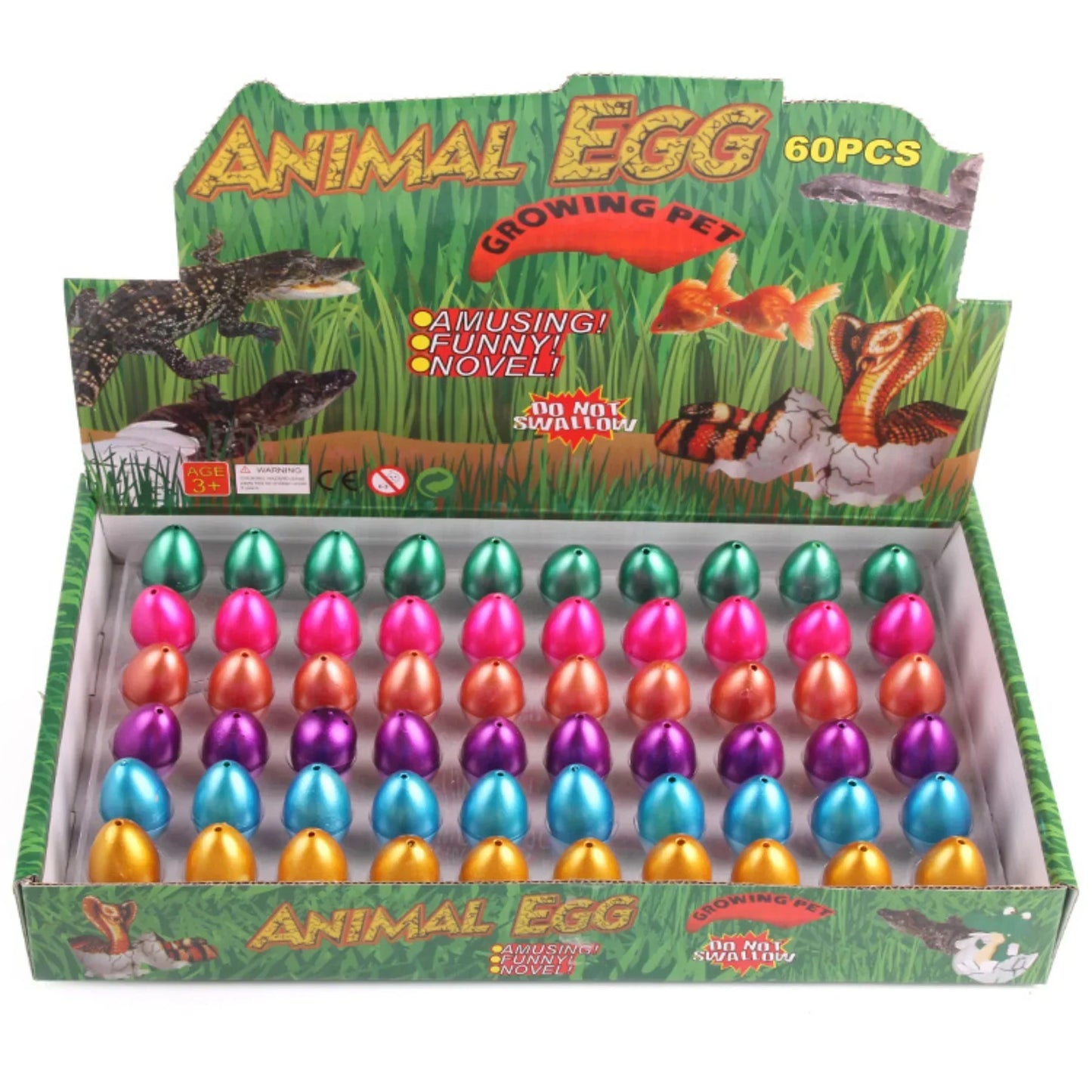 Exciting Educational Dino Play Set