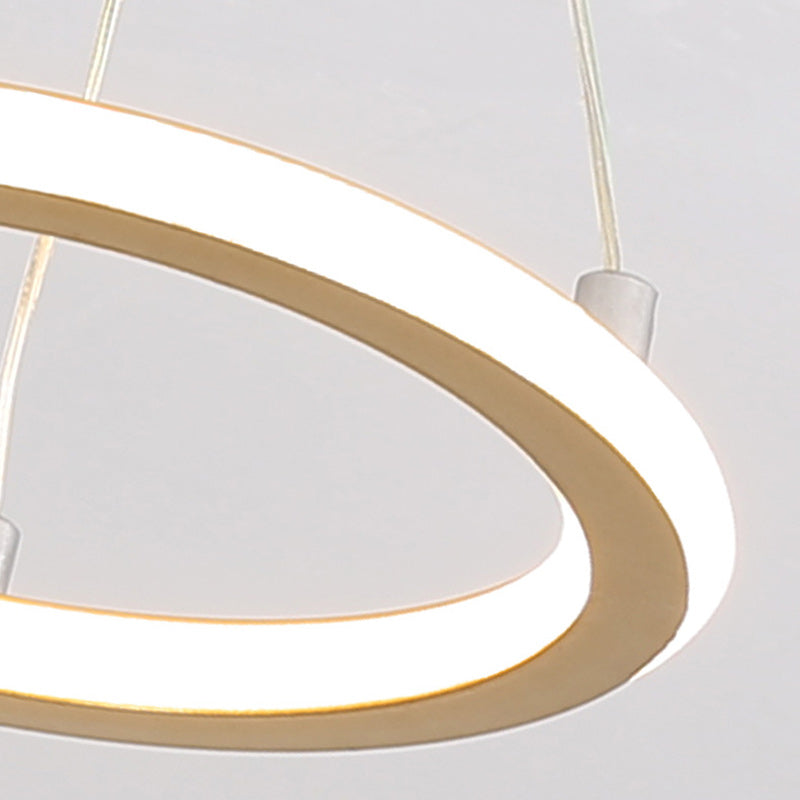 Stylish Circular LED Overhead Light Fixture