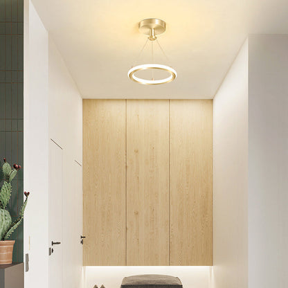 Stylish Circular LED Overhead Light Fixture