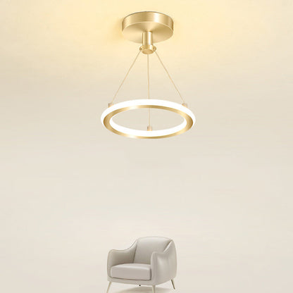 Stylish Circular LED Overhead Light Fixture