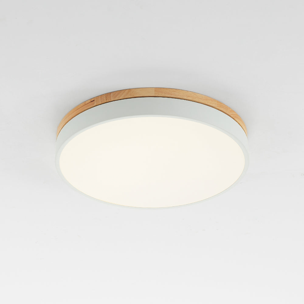 Modern Round LED Ceiling Light Fixture