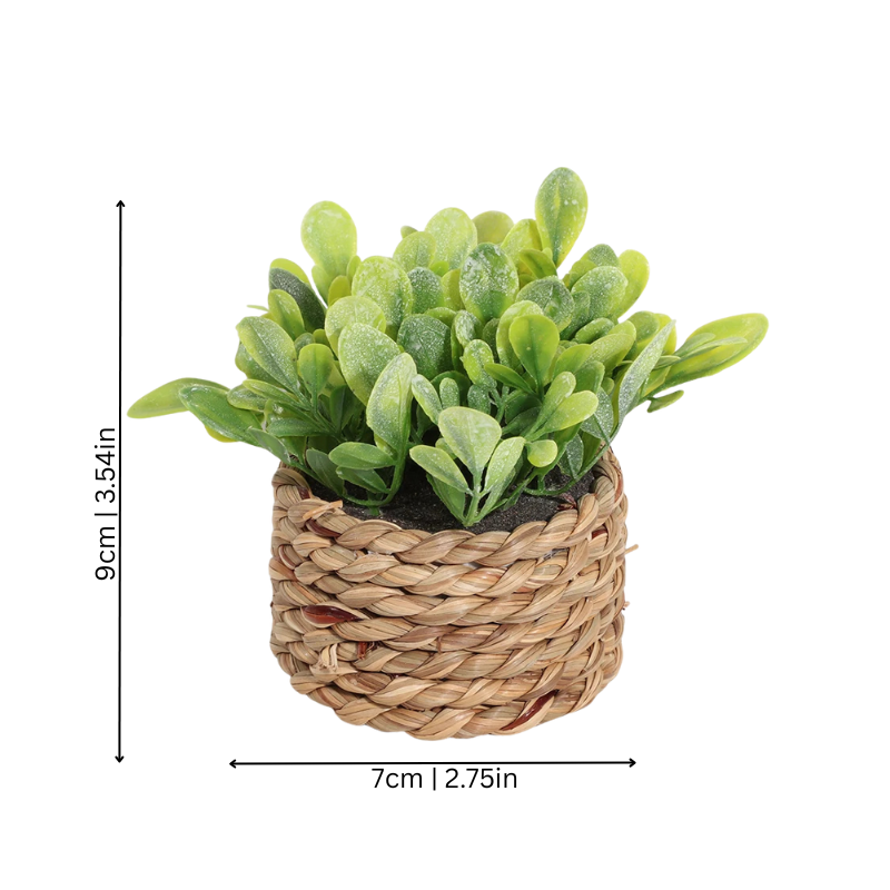 Luxury Green