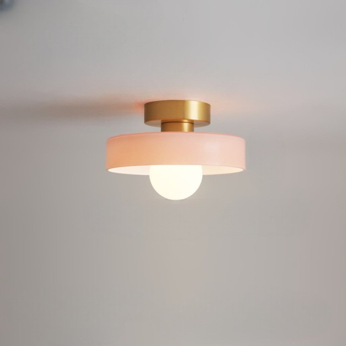 Contemporary LED Ceiling Lamp