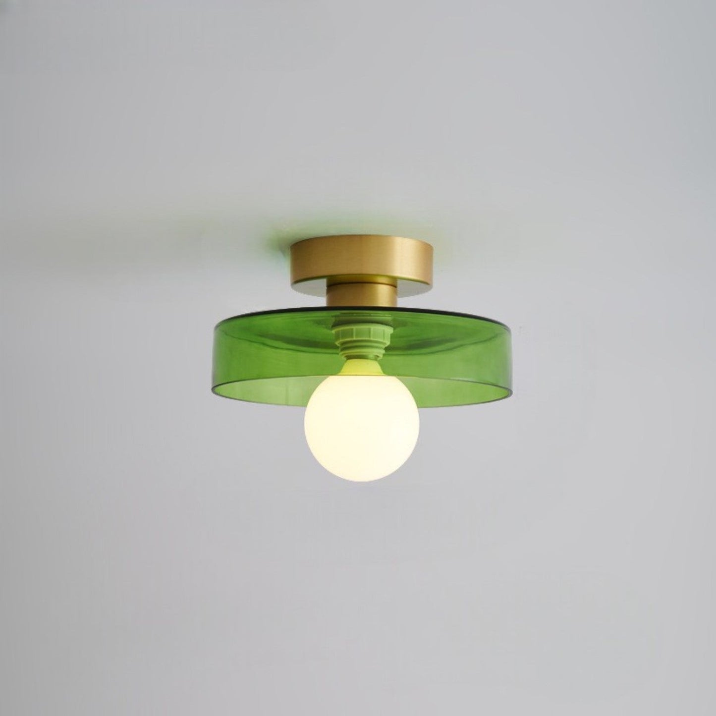 Contemporary LED Ceiling Lamp