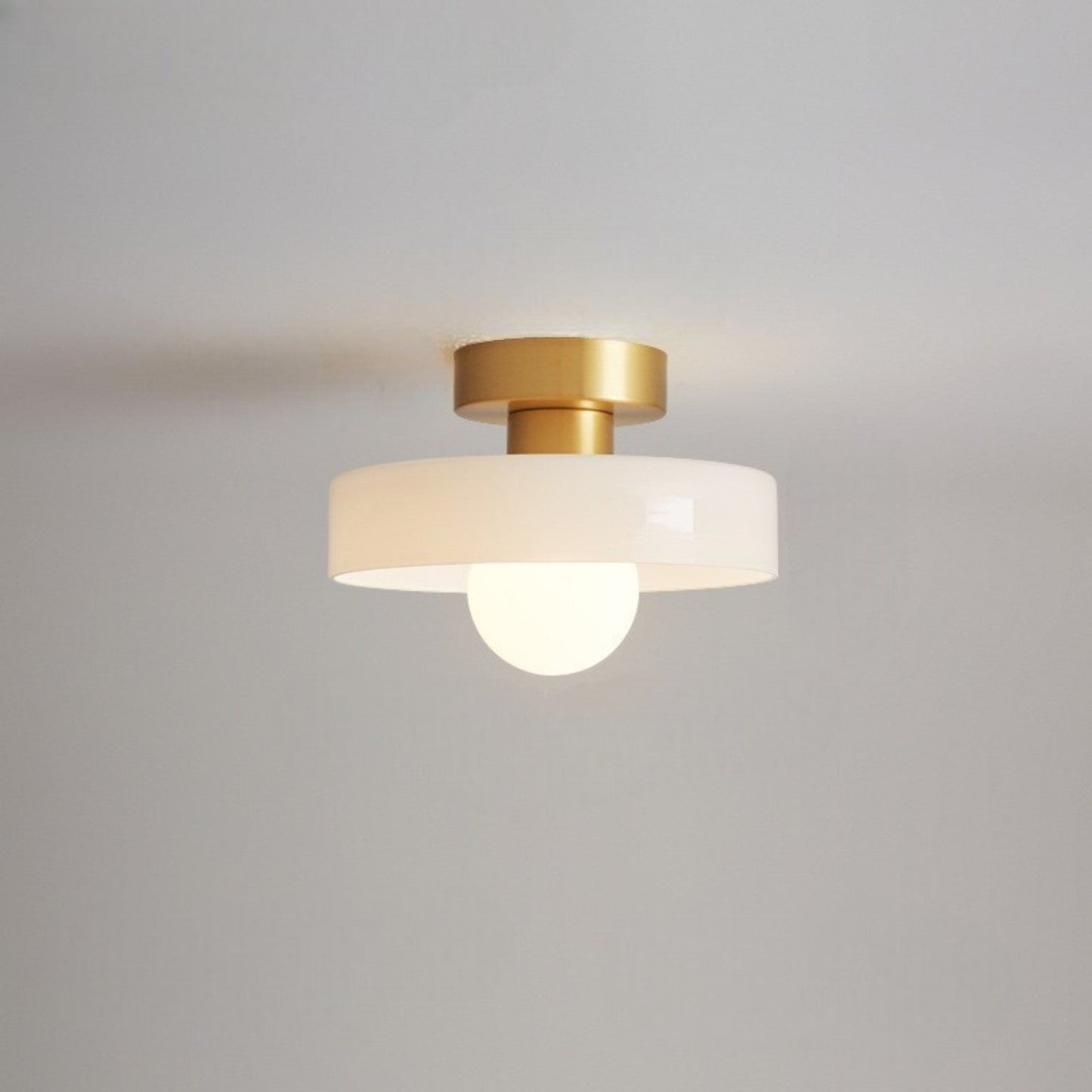 Contemporary LED Ceiling Lamp