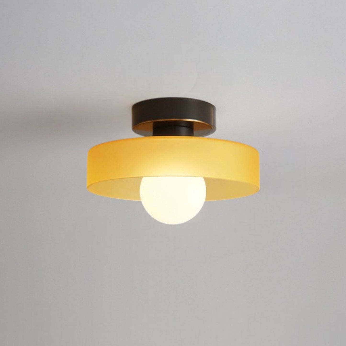 Contemporary LED Ceiling Lamp