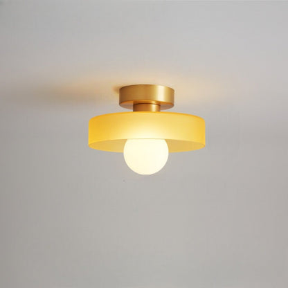 Contemporary LED Ceiling Lamp