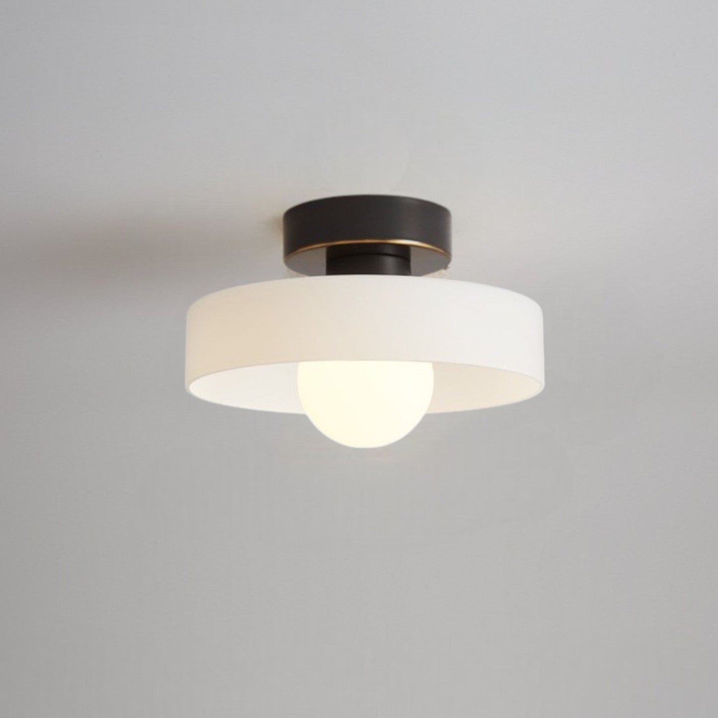 Contemporary LED Ceiling Lamp