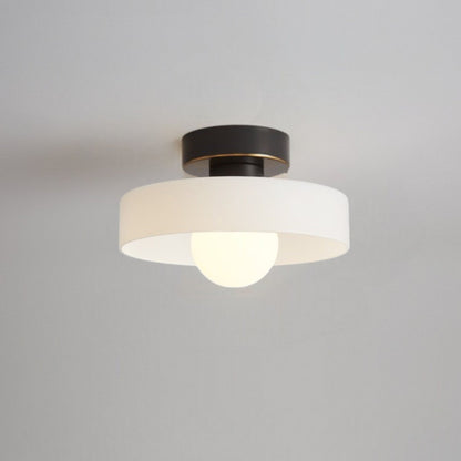 Contemporary LED Ceiling Lamp