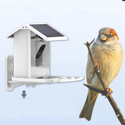 Smart Wireless Bird Feeder Camera