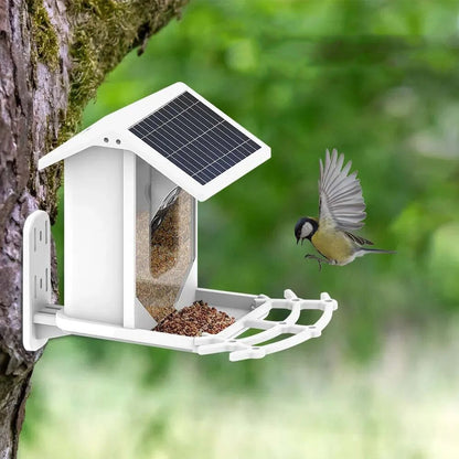 Smart Wireless Bird Feeder Camera